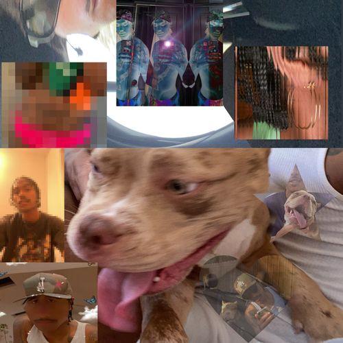 The Lo-Fis Album Cover