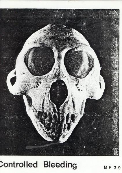 Album cover featuring a black and white photo of a skull.