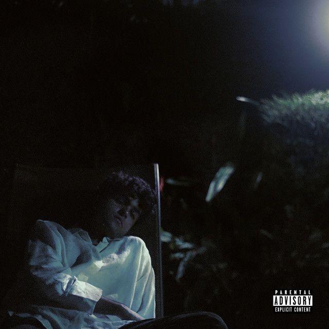 Dhruv "Moonlight" Song Review