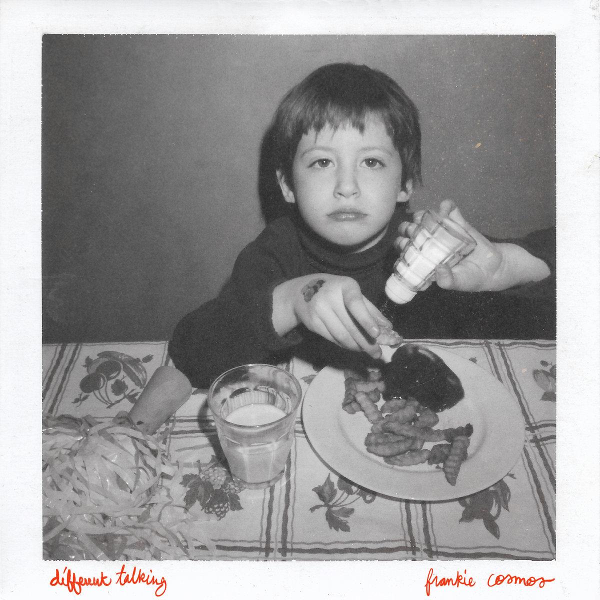 Single cover for "Vanity" by Frankie Cosmos